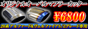 20�n�A���t�@�[�h�E���F���t�@�C�A�O���E��� S/Z��p